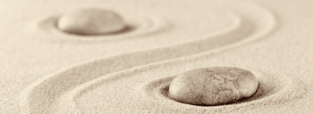 DBT Dialectical Behavior Therapy
